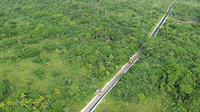 中国援助纽埃环岛公路升级项目