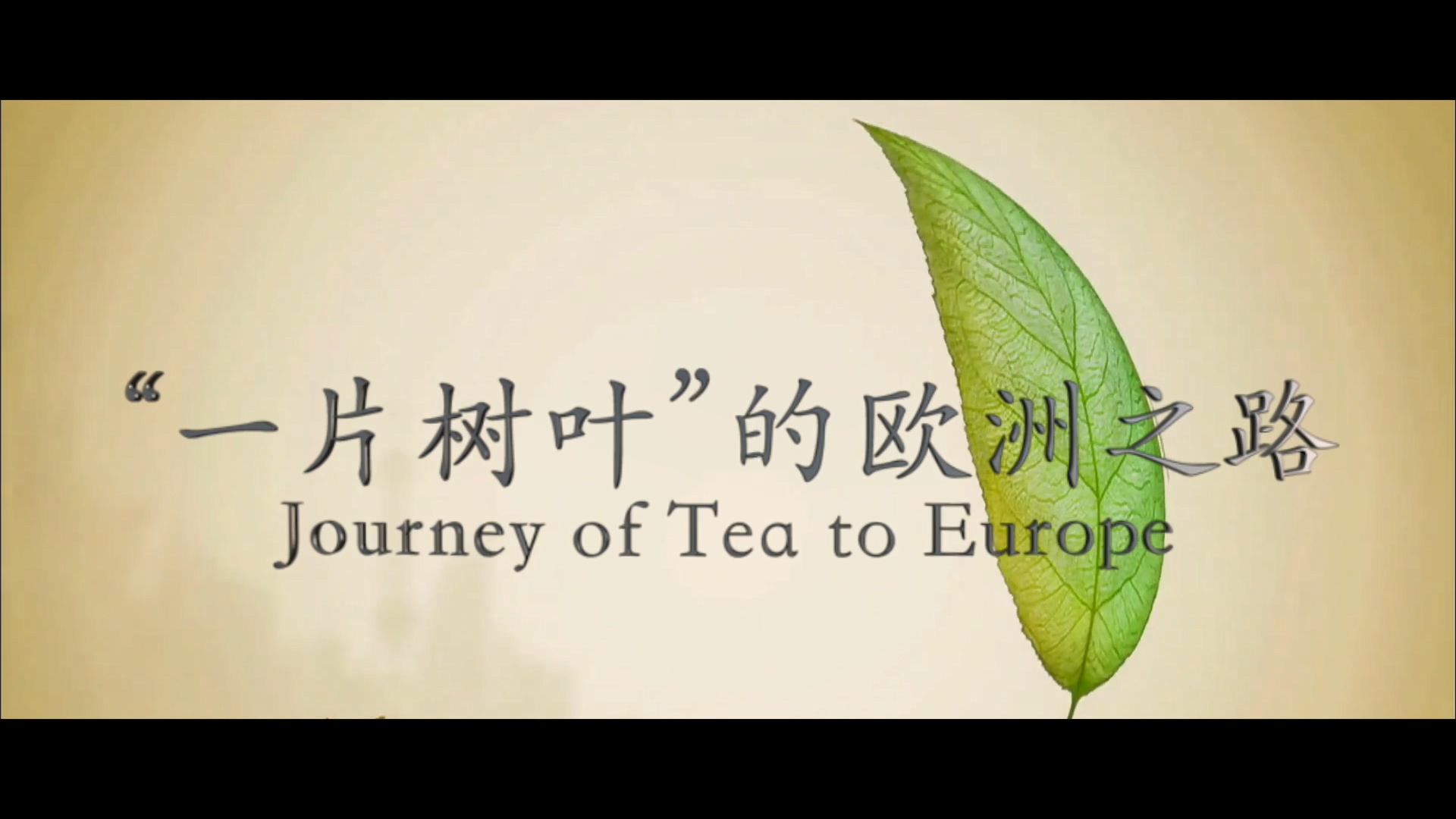 Journey of Tea to Europe